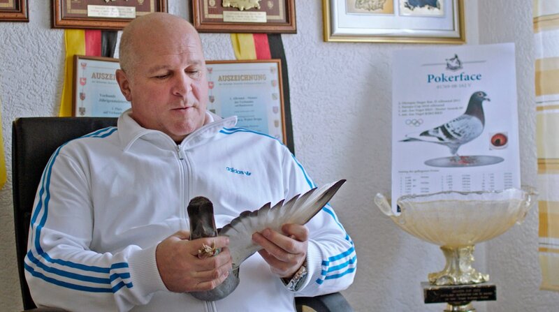 Höhenflüge – Bild: ZDF und SWR/​Sebastian Bäumler.