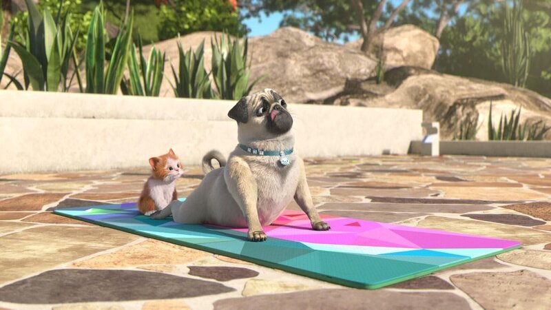 Fluffy stört Mike beim Yoga. Er wollte doch Stella beeindrucken … +++ – Bild: SUPER RTL /​ Der Katzenwaschbär