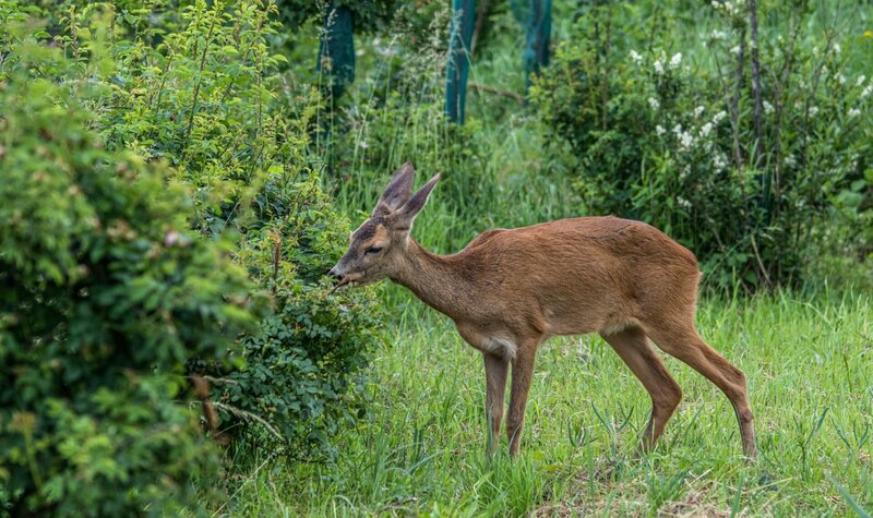Korridore des Lebens – Bild: ORF