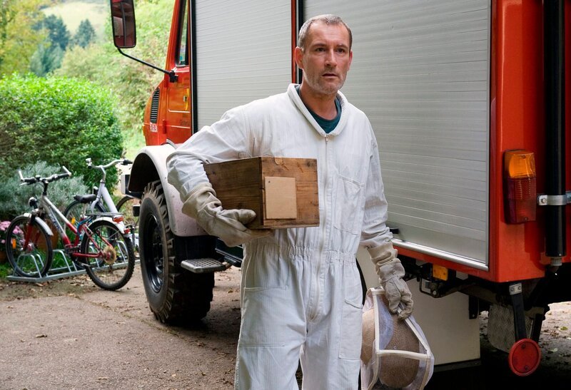 Dr. Philip Hansen (Heikko Deutschmann) hilft bei der Aussiedlung des Hornissenschwarms. – Bild: SWR/​Maria Wiesler