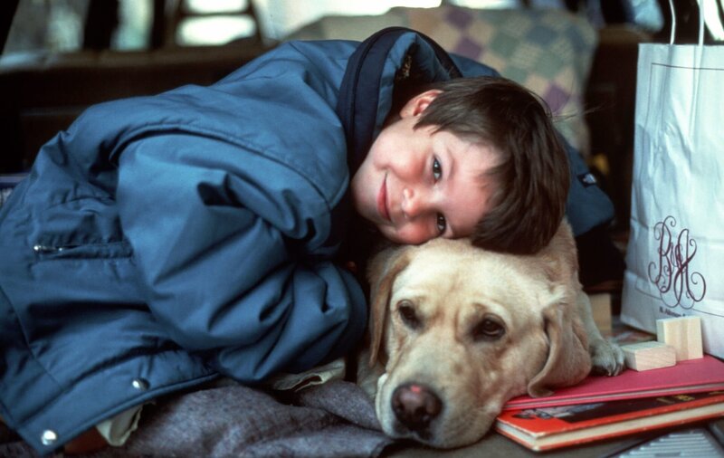 Eine verhängnisvolle Affäre – Bild: ZDF und Andrew D. Schwartz.