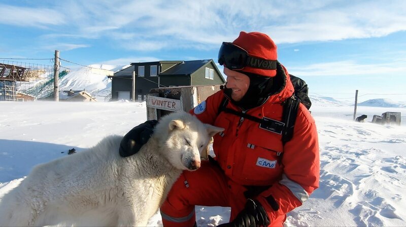 Treue Begleiter: Mit Schlittenhunden bricht der Astronaut in die Weite der Gletscher auf. Die Huskies wissen der Kälte verlässlich zu trotzen. – Bild: phoenix/​SWR/​Maike Simon