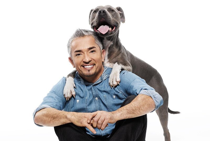 Cesar Millan. (Photo credit: National Geographic Channels /​ Evelyn Hockstein) – Bild: National Geographic Channel