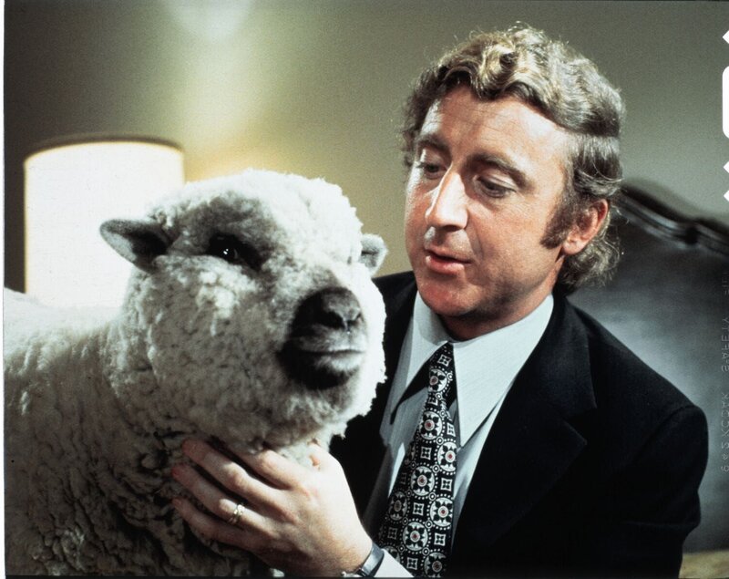 Was Sie schon immer über Sex wissen wollten, aber bisher nicht zu fragen wagten – Bild: Kabel Eins Classics