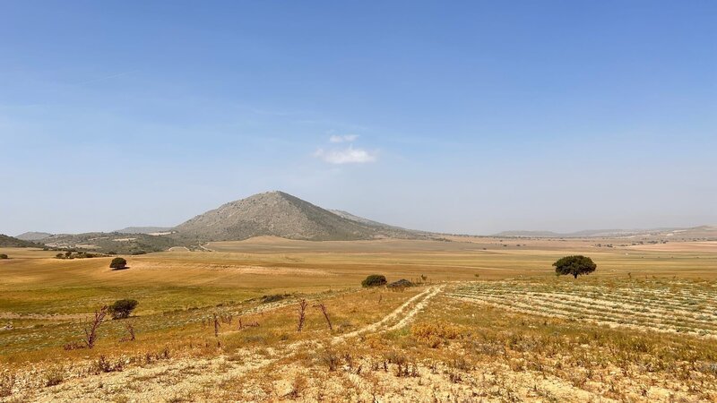 Landschaft, Farm „La Junquera“, Murcia, Spanien – Bild: ZDF und Peter Scholl./​Peter Scholl
