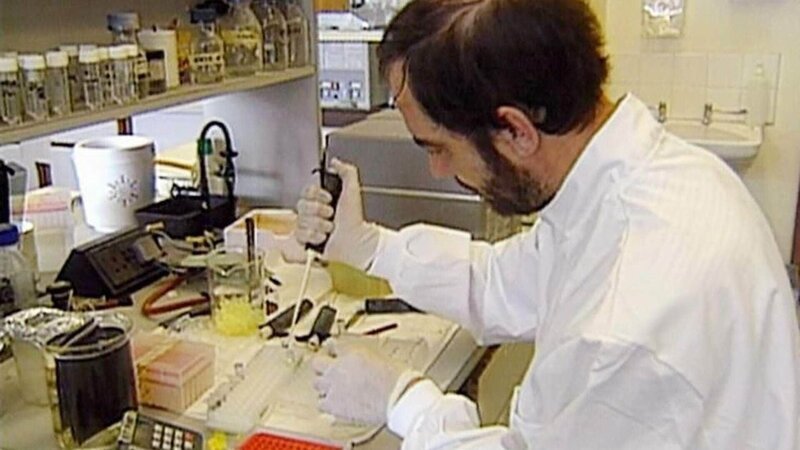 1986 überführt der Molekularbiologe Dr. Alec Jeffreys den Mörder eines 15-jährigen Mädchens erstmals anhand der DNA. – Bild: RTL