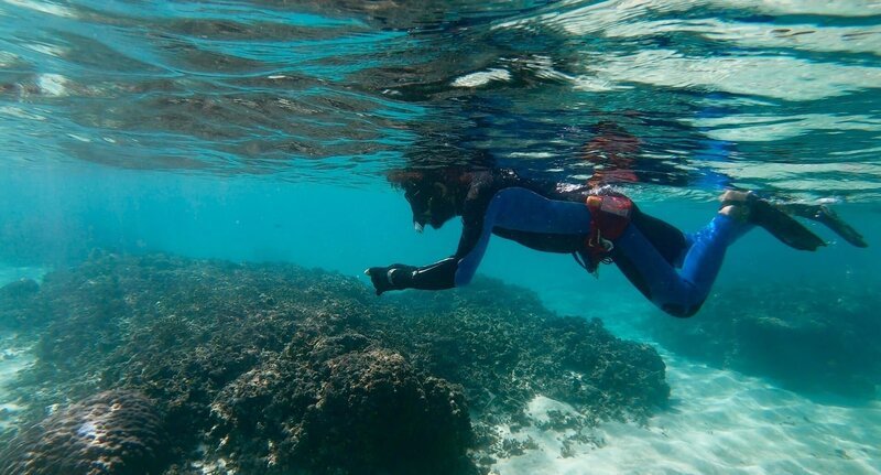 Korallen können Aufschluss über Erdbeben aus der Erdgeschichte geben. – Bild: ZDF und Crestar Productions 2021./​Crestar Productions 2021