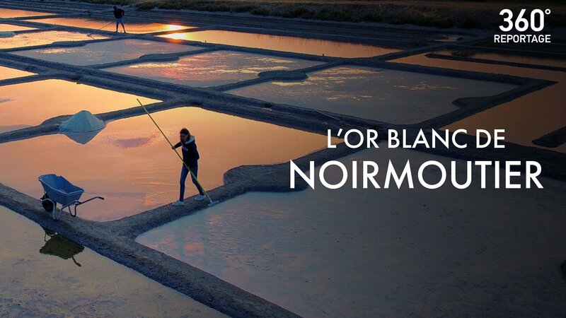 Das weiße Gold von Noirmoutier – Bild: Arte