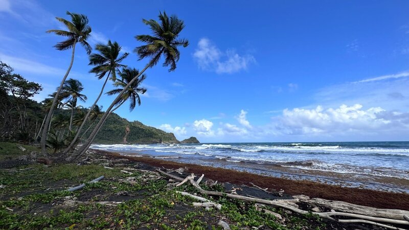 Das Paradies in der Ferne. Dominica – Die Naturinsel in der Karibik. – Bild: ORF/​Ralph Huber-Blechinger