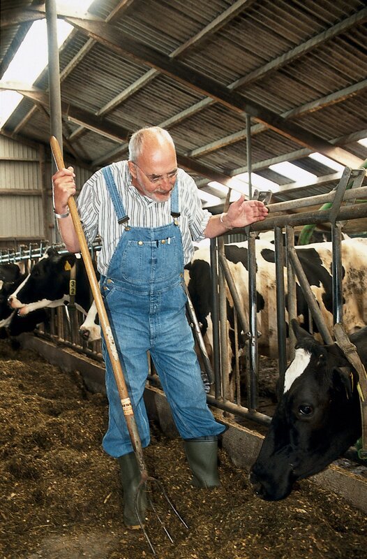 Peter (Peter Lustig) bemüht sich, die Kühe gut zu versorgen. – Bild: ZDF und Christiane Pausch./​Christiane Pausch