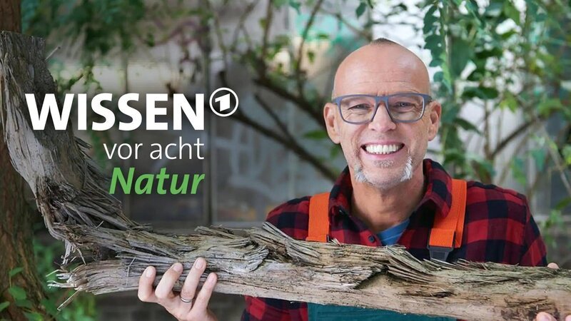 Bild: ard