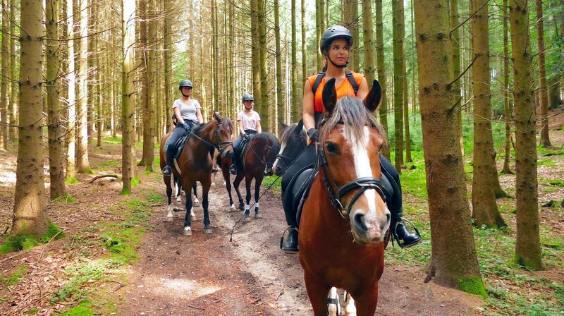 Im Wald muss die Reitergruppe besonders aufmerksam sein. Tiere oder Geräusche könnten die Pferde erschrecken. – Bild: BR/​Text + Bild Medienproduktion