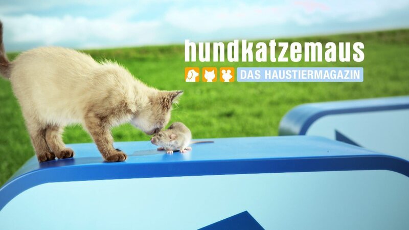 hundkatzemaus – Title card – Bild: VOX