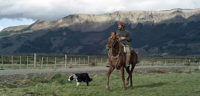 Ein Gaucho sucht nach Wildpferden in der Nähe von Calafate in Argentinien. – Bild: ORF/​ZDF/​Alejandro Berger