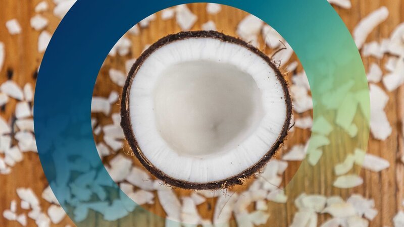 Die Kokosnuss ist keine Nuss, sondern eine Steinfrucht. – Bild: ZDF und ESCAMFILM_SPOO.