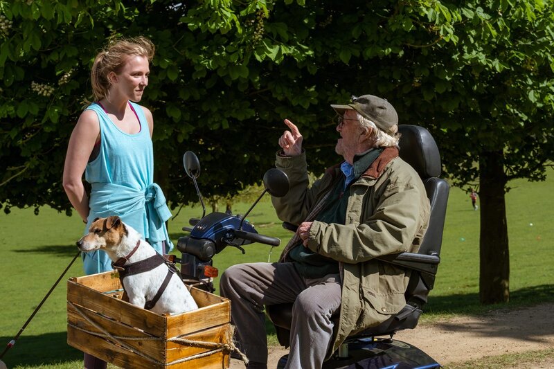 Ein Mops zum Verlieben – Bild: ZDF und Nick Wall./​Nick Wall