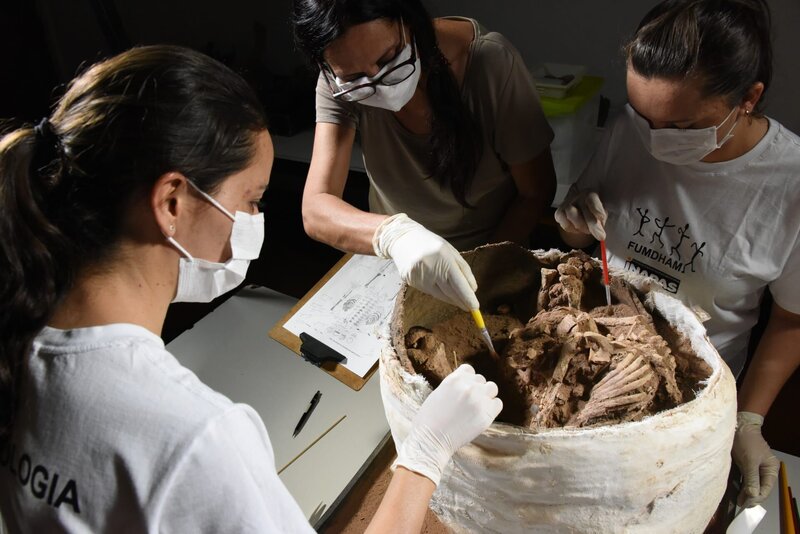 Sensationsfund in Brasilien – Bild: ZDF und Stefan Zengerle