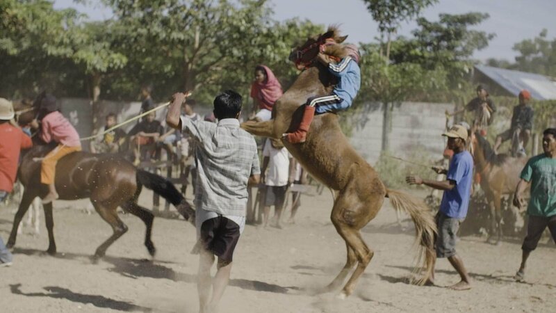 Das Training der Kinderjockeys – Bild: TVNOW /​ seventyonefilms