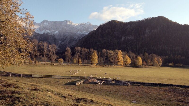Die wilden Steiner Alpen – Bild: ORF/​ORF III/​Leopold Fuchs