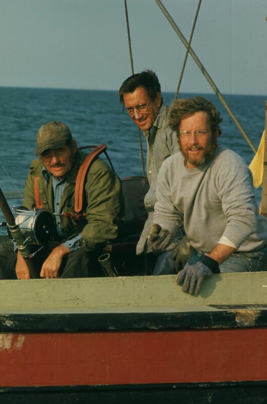 Der weiße Hai – Bild: port.hu