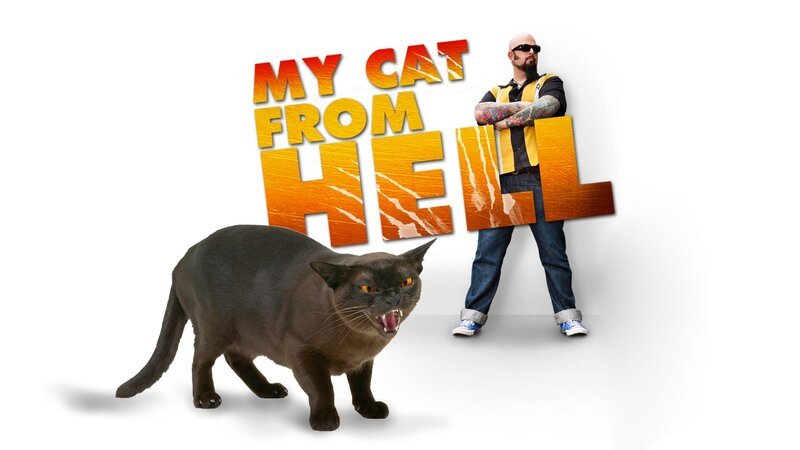 Bild: Animal Planet /​ US DLTO ARTWORK /​ Discovery Communications