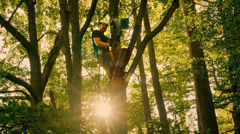 Tierische Heimkehrer – Bild: NDR/​Doclights GmbH/​Philipp Klein /​ NDR Presse und Information