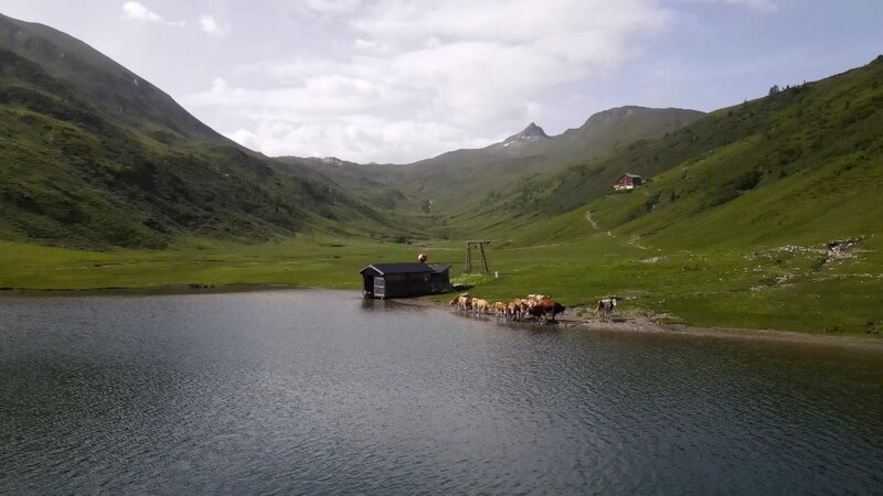 Tappenkarsee. – Bild: ORF/Pammer Film Tappenkarsee. – Bild: ORF/Pammer Film