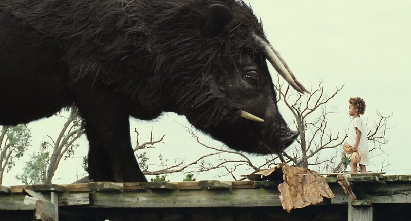 Beasts of the Southern Wild – Bild: MFA – Münchner Verleih Agentur /​ MKNS