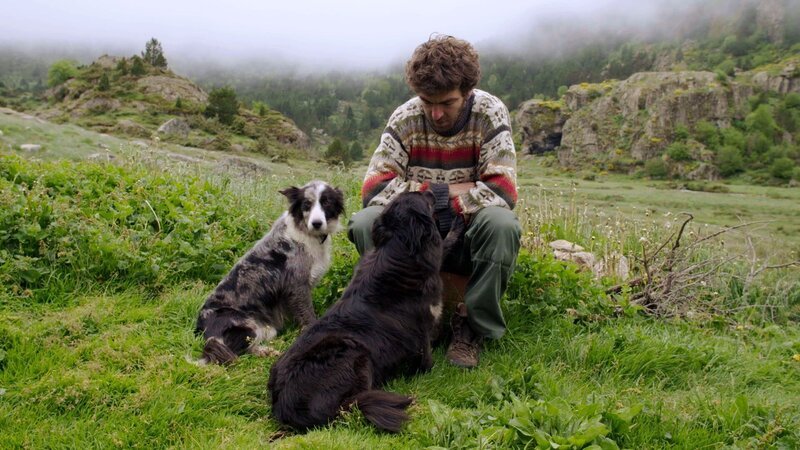 Sechs Monate des Jahres verbringt Brice Delsouiller allein mit zwei Hunden und 400 Kühen in der Abgeschiedenheit der Pyrenäen. – Bild: MedienKontor/​Sandrine Mörch