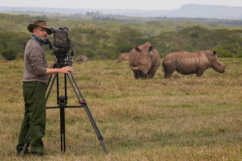 Nashörner - Mit Herz und Horn – Bild: ORF/​Doclights Naturfilm/​Roland Gockel