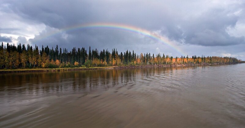 Der Herbst bricht am Yukon ein. – Bild: BBC Studios, BR /​ BBC Studios/​BR