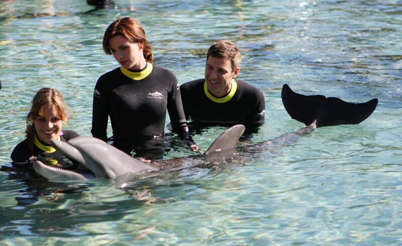 Schwimmen mit Delfinen: Für Bianca (Birthe Wolter, l.), Anne (Gisa Zach, M.) und Dennis (Jochen Schropp, r.) wird ein Traum wahr. – Bild: port.hu