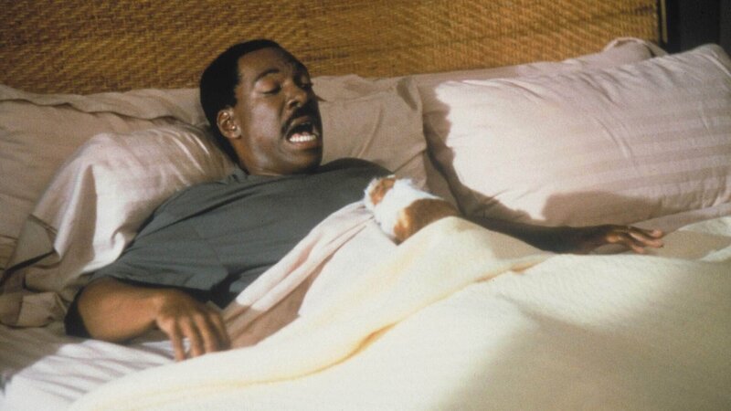 Ein Autounfall hat bei Allgemeinmediziner Dr. John Dolittle (Eddie Murphy) eine alte Gabe wiedererweckt: die Fähigkeit, mit Tieren zu sprechen. – Bild: VOX/​Twentieth Century Fox Film Corporation