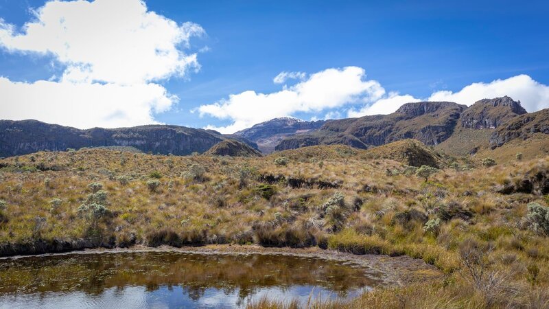 Landscape in Los Nevados National Natural Park in Colombia. Nevado de Santa Isabel and Nevado del Ruiz volcano – Bild: Shutterstock /​ Jhon Gracia