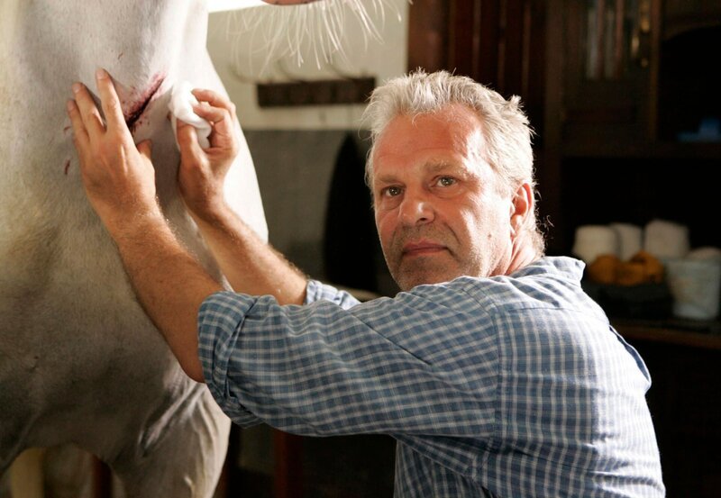Carl von Balkhausen (Peter Sattmann) ist ein renommierter Pferdezüchter. – Bild: ARD Degeto/​Frank Dicks