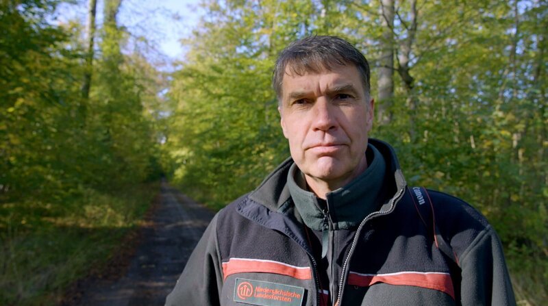 Heiko Brede, Förster für Waldökologie und Naturschutz, ist für das Waldgebiet „Hohenstein“ im Süntel verantwortlich. – Bild: ZDF und NDR/​Zentralfilm.