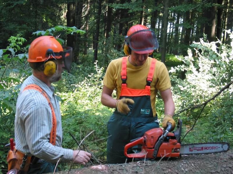 Willi Weitzel (rechts) bekommt die Grundlagen der Holzfällerei erklärt und darf helfen, eine Fichte zu fällen. – Bild: BR/​megaherz gmbh