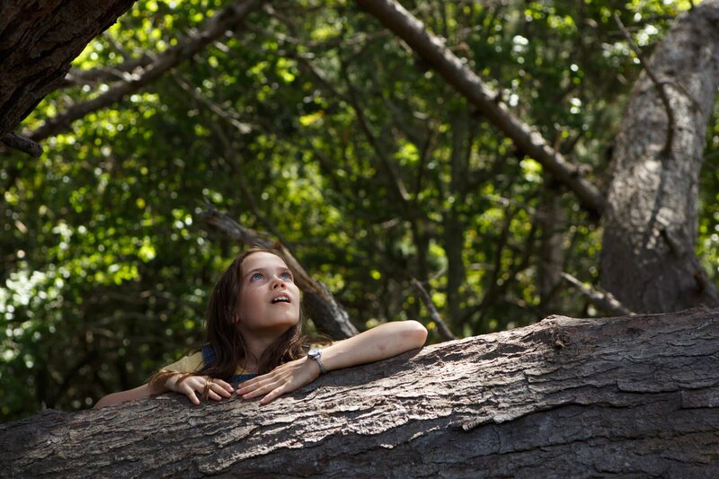 Elliot, der Drache – Bild: Disney Enterprises, Inc. /​ Matt Klitscher Lizenzbild frei