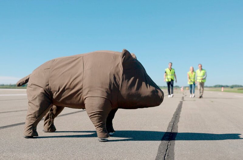 Sicherheits-Test: Schwein trifft Mensch. So lässt sich ein Wildtier-Unfall vermeiden. – Bild: SWR Sicherheits-Test: Schwein trifft Mensch. So lässt sich ein Wildtier-Unfall vermeiden. – Bild: SWR