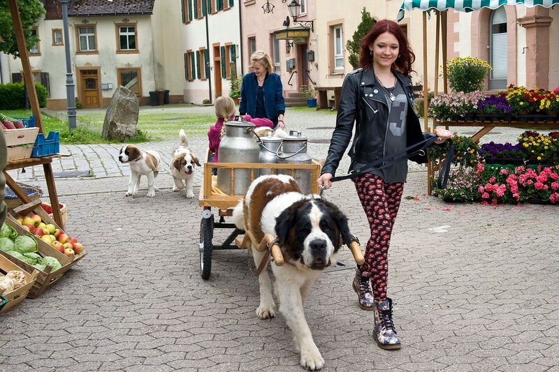 Jessie (Clara Halouska) kommt mit Oswald und den Hundewelpen Groggy, Gandalf, Gala, Gulliver und Greg auf den Marktplatz. – Bild: SWR/​Maria Wiesler