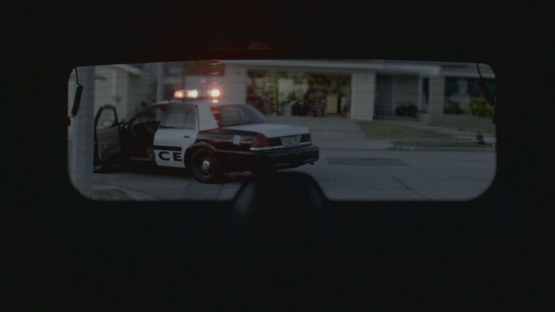 A police car through the woman’s rear window. – Bild: Animal Planet