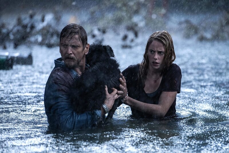 Crawl – Bild: PLURIMEDIA (Paramount Pictures /​ Raimi Productions)