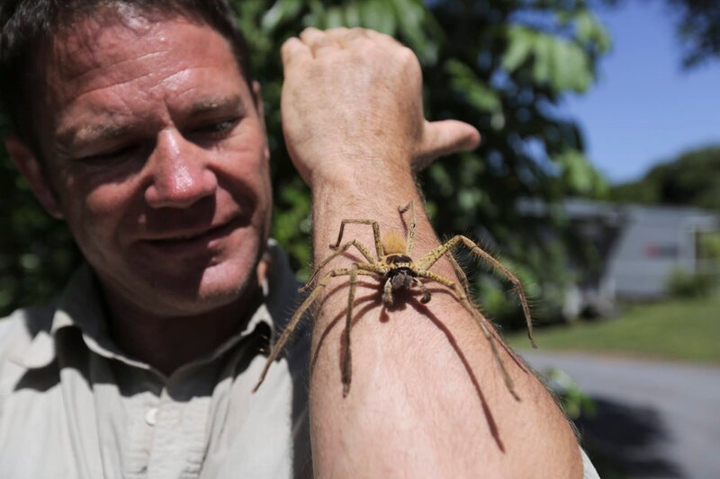 Der Abenteurer und Naturforscher Steve Backshall macht sich auf nach Australien. – Bild: ITV Studios Limited