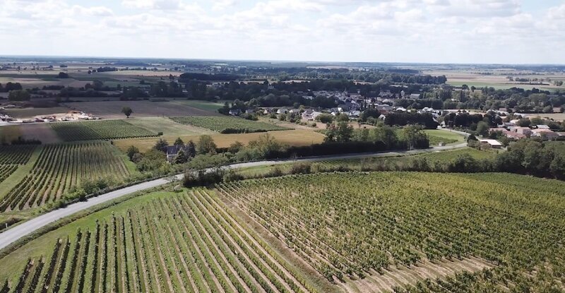 Frankreichs längste Weinstraße: Im Loiretal werden auf 800 Kilometern Länge vielfältige Weine angebaut. – Bild: ZDF und Julien Bur