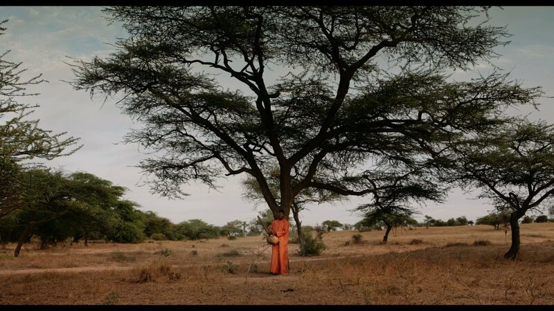 Foto aus „Der Waldmacher“. – Bild: Axel Schneppat / BR, zero one film / BR/zero one film/Axel Schneppat Foto aus „Der Waldmacher“. – Bild: Axel Schneppat / BR, zero one film / BR/zero one film/Axel Schneppat