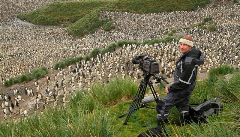 Kameramann Roland Gockel mit über 100.000 brütenden Königspinguinen vor der Linse. – Bild: NDR/​Roland Gockel
