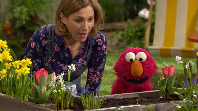 Julia und Elmo kümmern sich um eine Sonnenblume. – Bild: NDR/​Studio Hamburg Produktion/​Sesame workshop