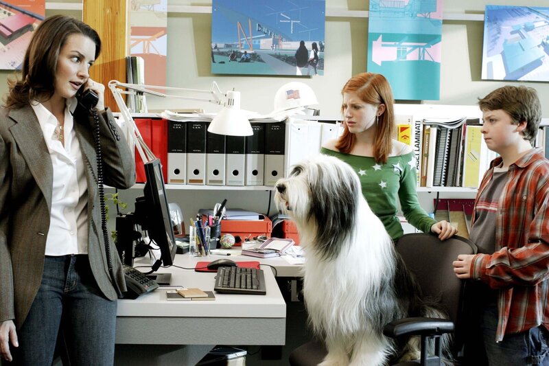 Shaggy Dog - Hör mal, wer da bellt – Bild: c Disney Enterprises, All Rights Reserved