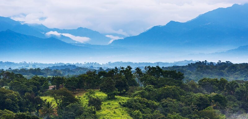 Wald von Chiapas – Bild: Shutterstock /​ Shutterstock /​ Copyright (c) 2018 THP Creative/​Shutterstock. No use without permission.
