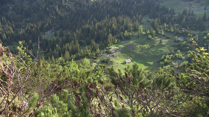 Wildnisgebiet Dürrenstein. – Bild: ORF Wildnisgebiet Dürrenstein. – Bild: ORF